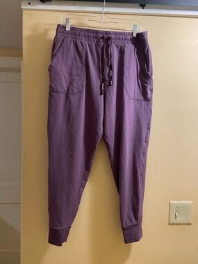 Pair of Thieves: Jogger Pants with Drawstring Waist - Purple